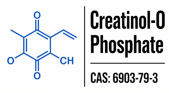 Creatinol-O-Phosphate Powder Crystals CAS 6903-79-3 Phospholipid Compound Enhance muscular endurance, delay fatigue, and facilitate recovery