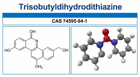 Meaty Odor Triisobutyldihydrodithiazine With 99% Purity CAS 74595-94-1  High-impact Savory flavoring agent